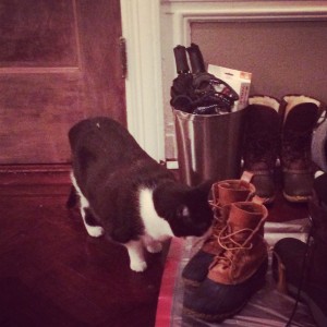 As referenced on the episode: Lulu's fascination with Hallie's tiny boots.