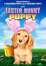 Episode #461 – An Easter Bunny Puppy