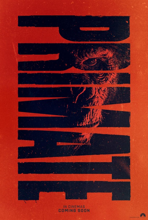 Primate
